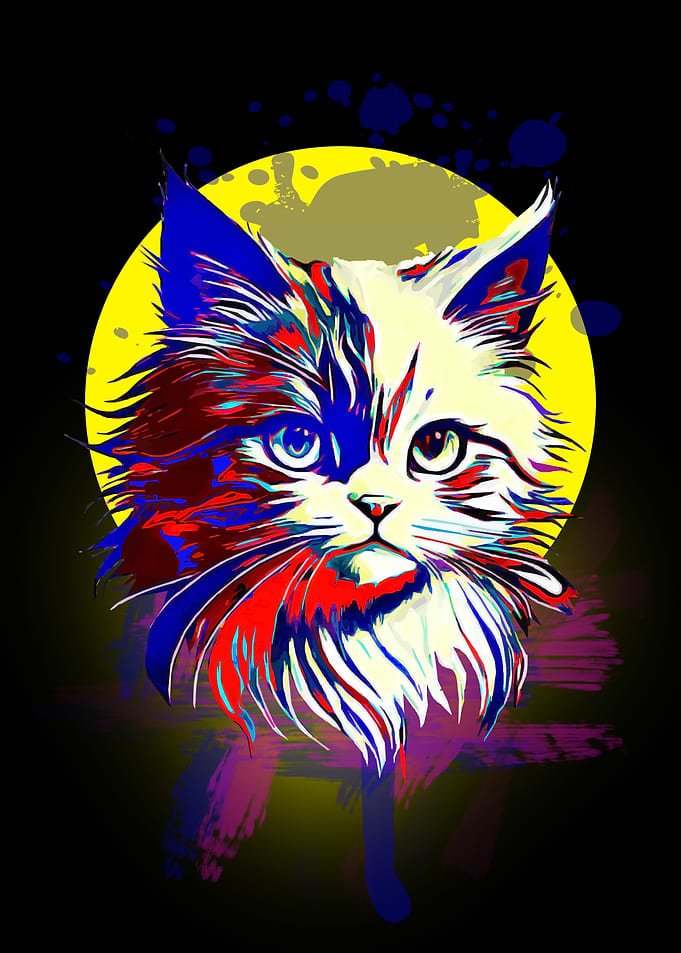 Cat Animals 10