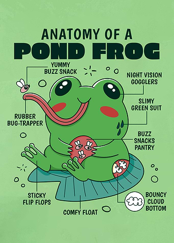 Pond Frog