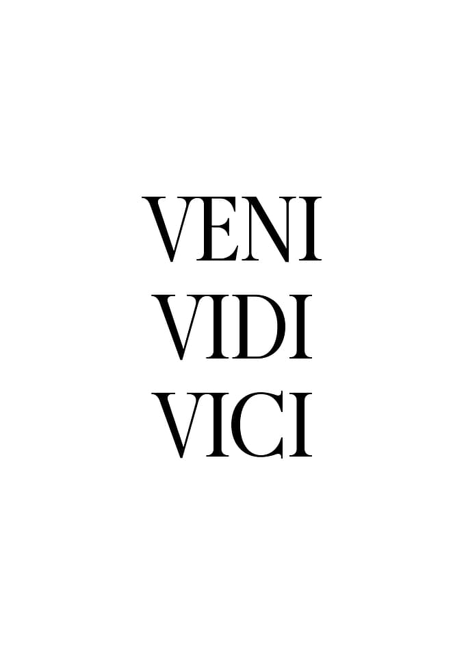 Vini Vidi Vici