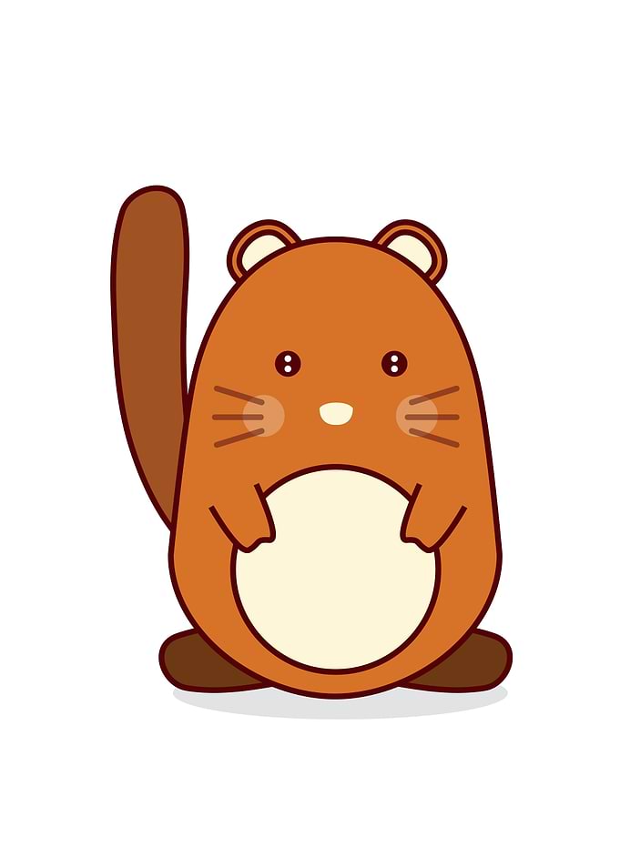 Beautiful Squirrel