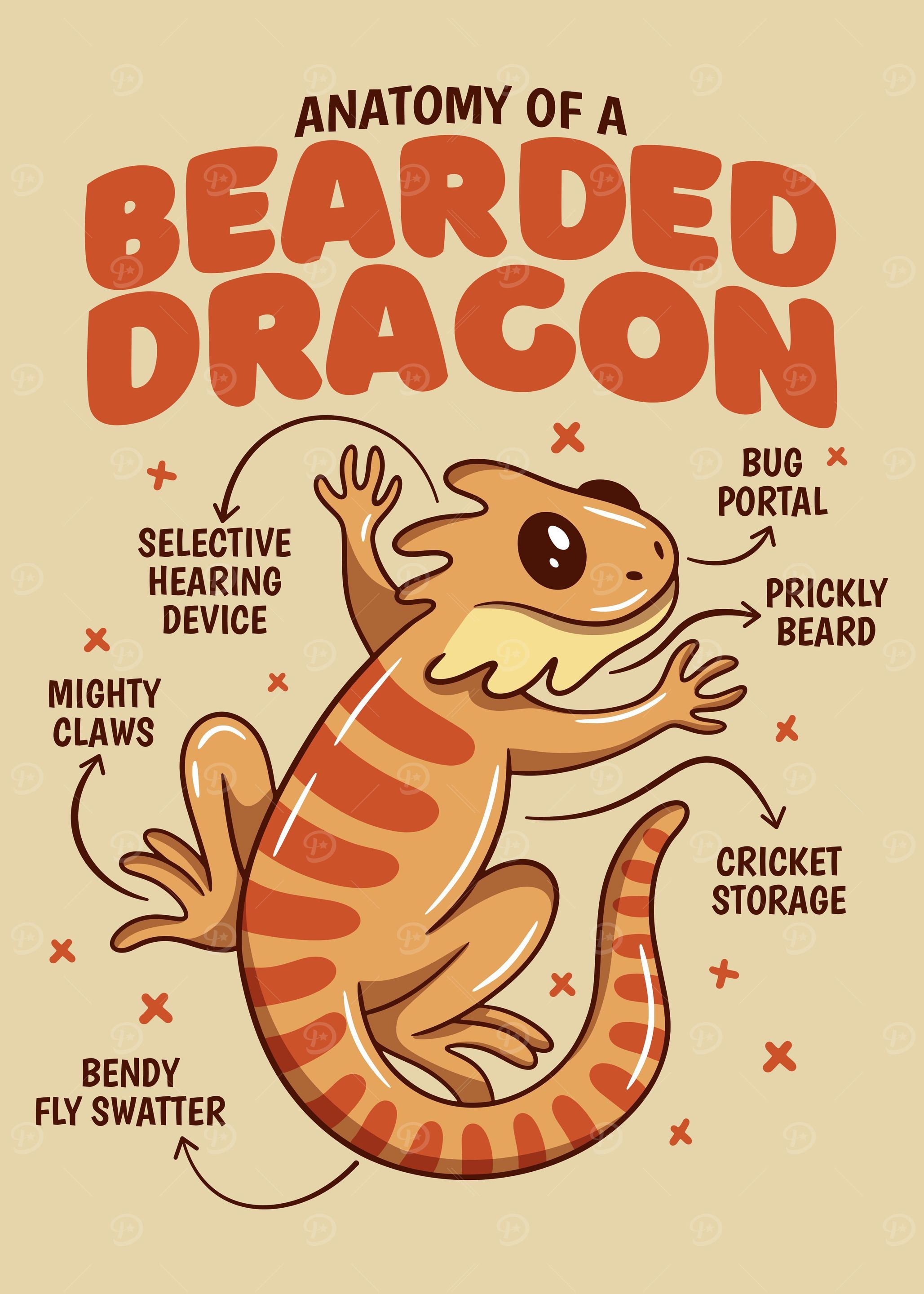 Bearded Dragon