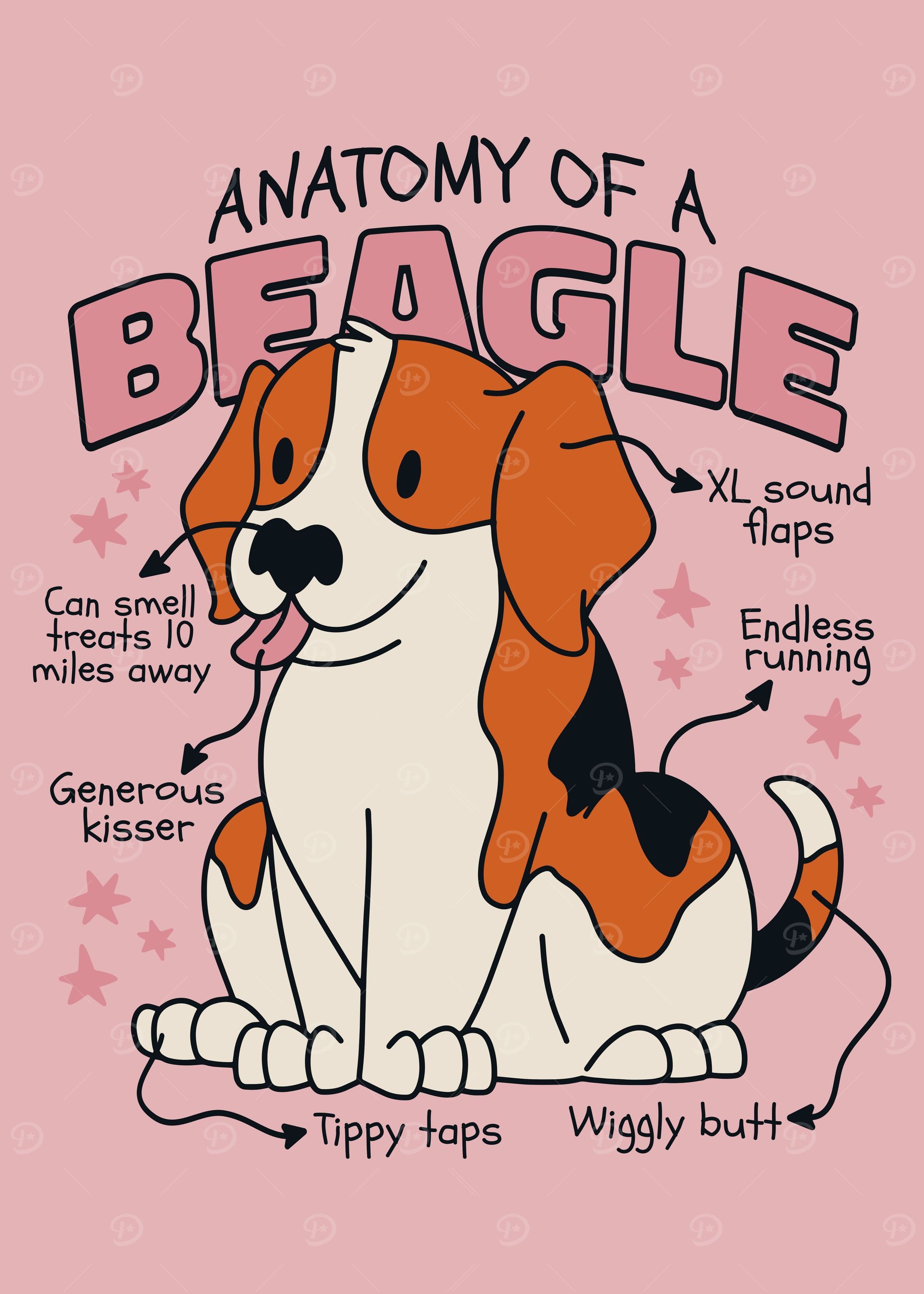 Beagle