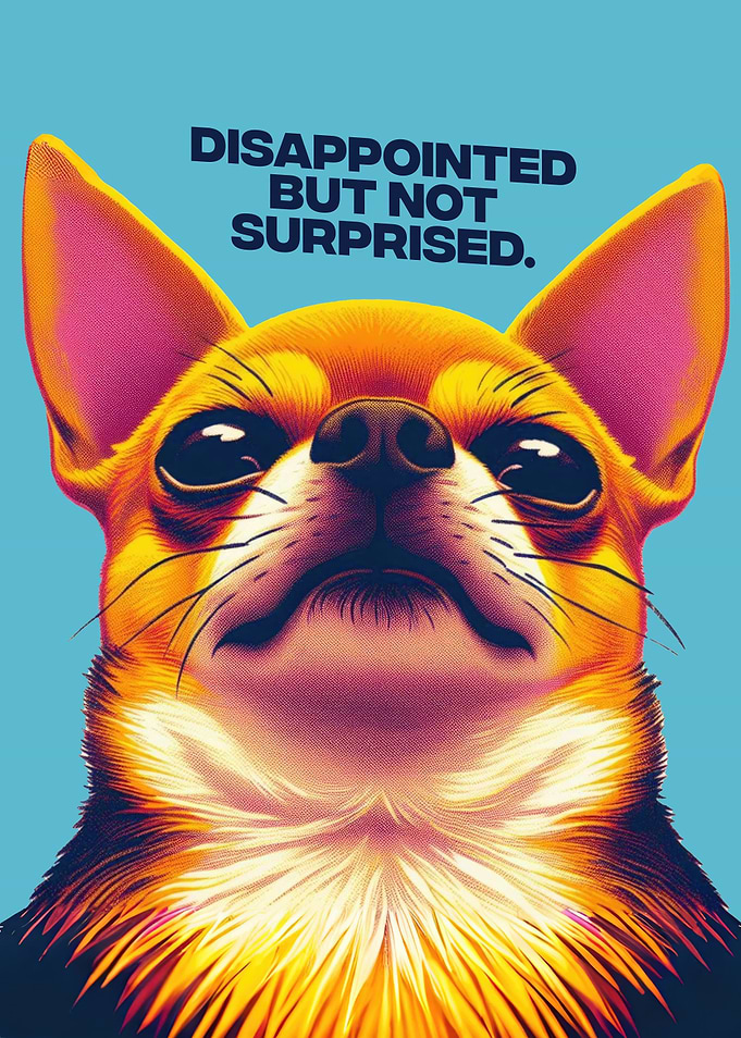 Bad ass chihuahua dog