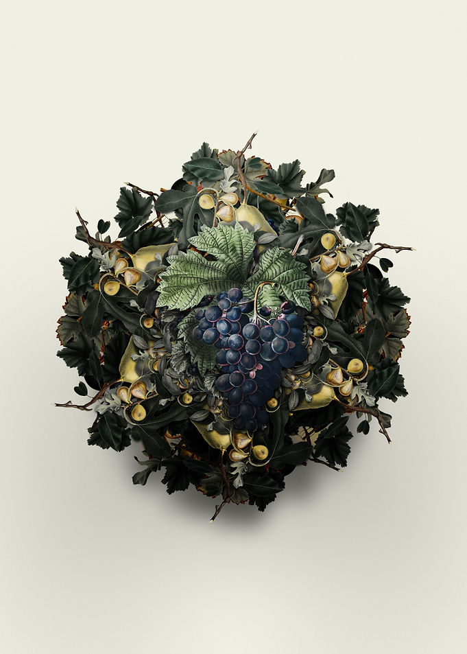 Grape Vine Fruit Wreath