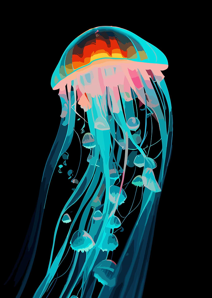 Jellyfish in Sea