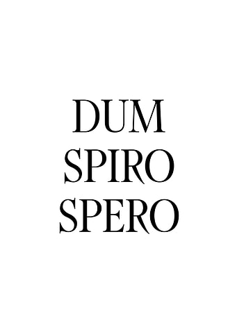 Dum Spiro Spero