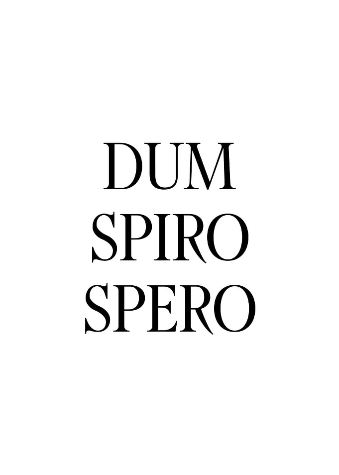 Dum Spiro Spero