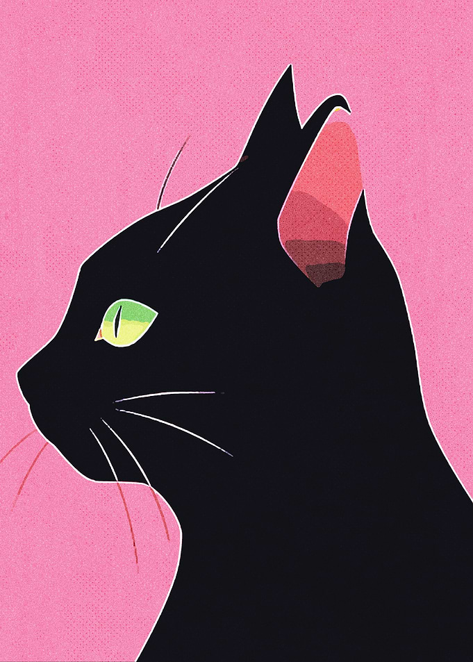 Black cat Vintage