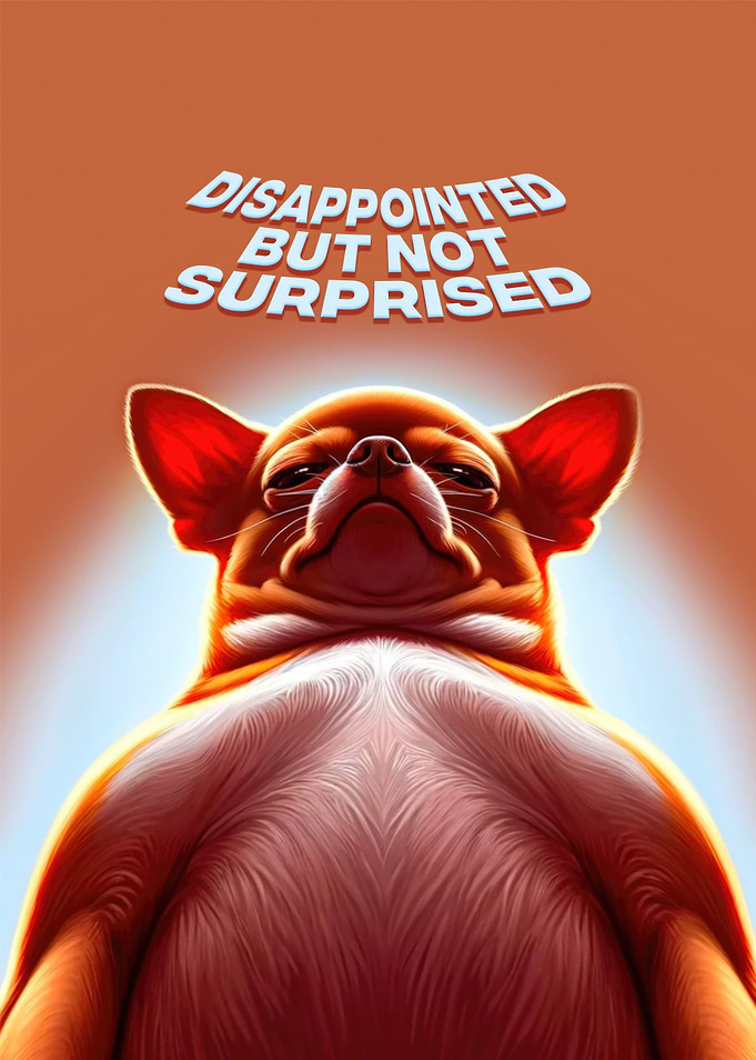 Disappointed Chihuahua