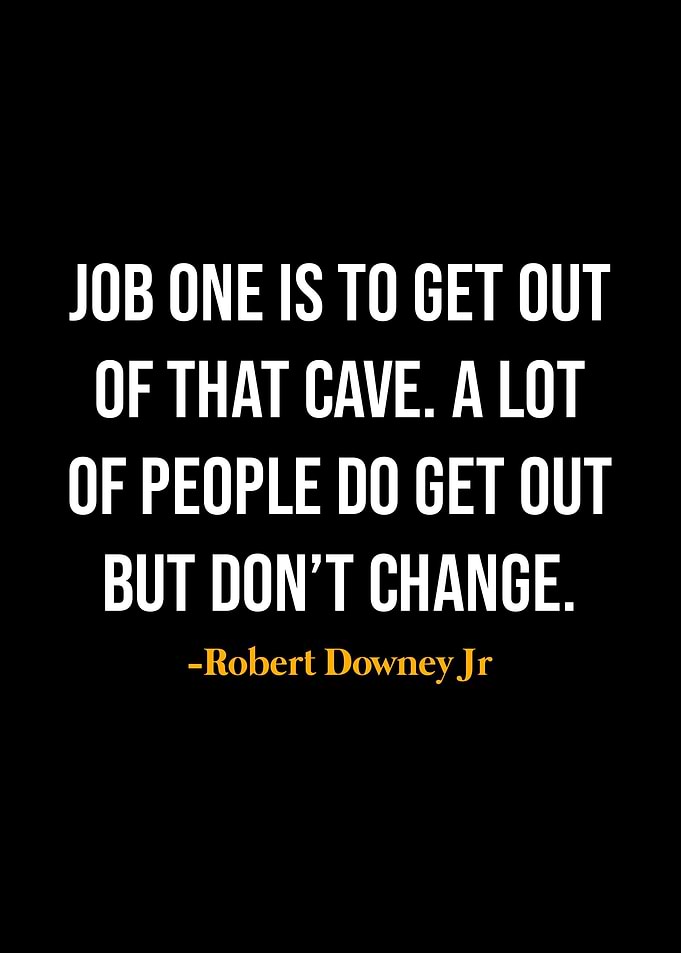 Robert Downey Jr Quotes