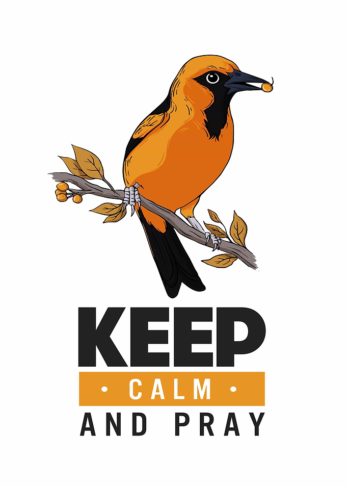 the magpie