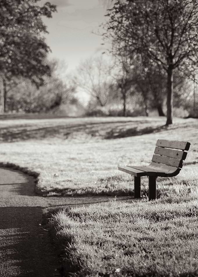 Park Bench