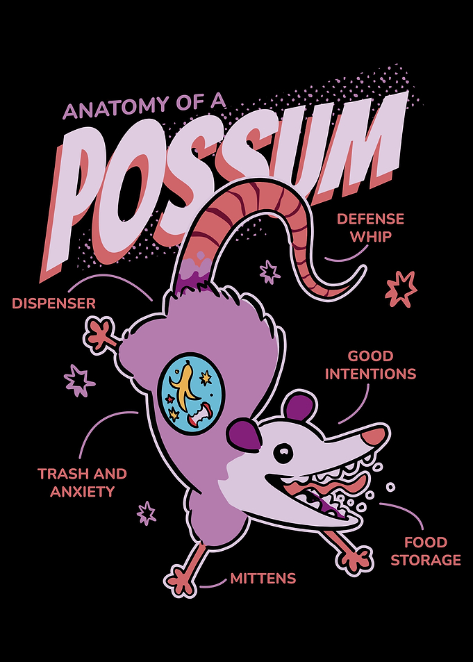 Possum
