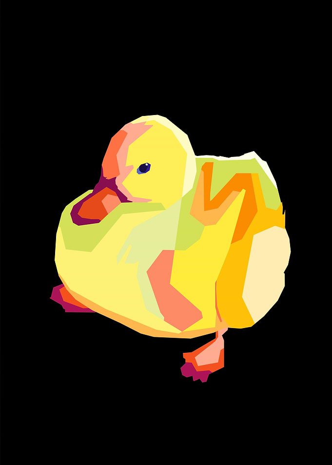 Duck Lol Pop Art