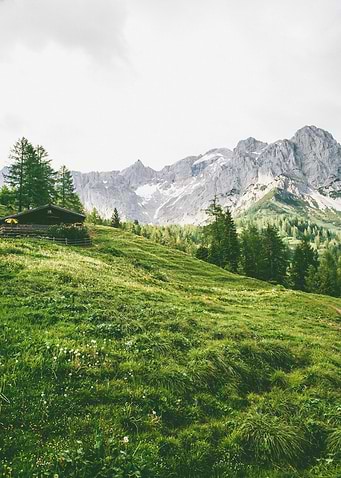 Alpines