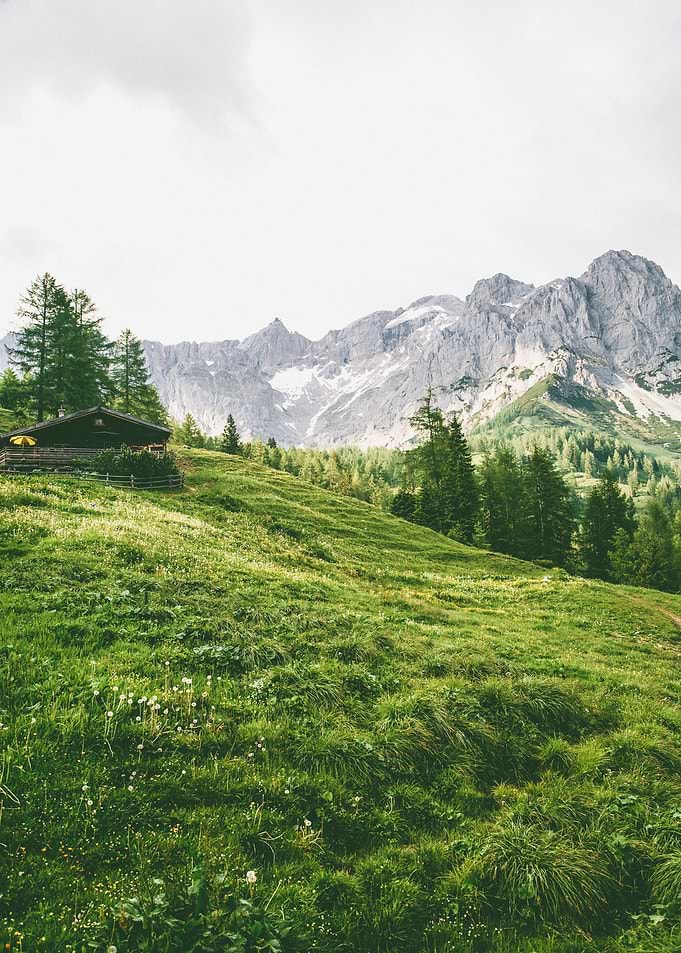 Alpines
