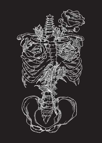 Core