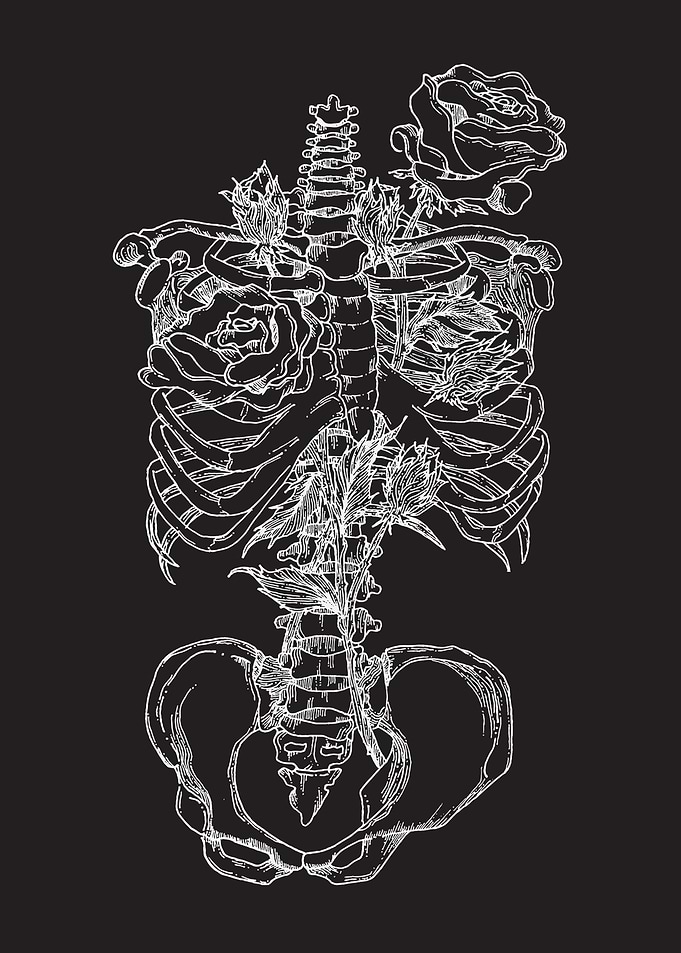 Core