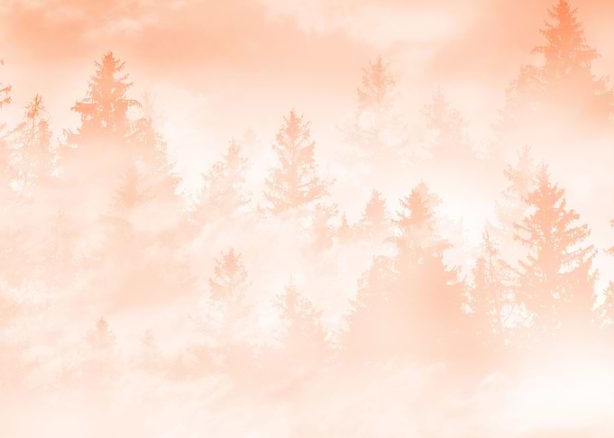 Peach Fuzz Forest Dream 1