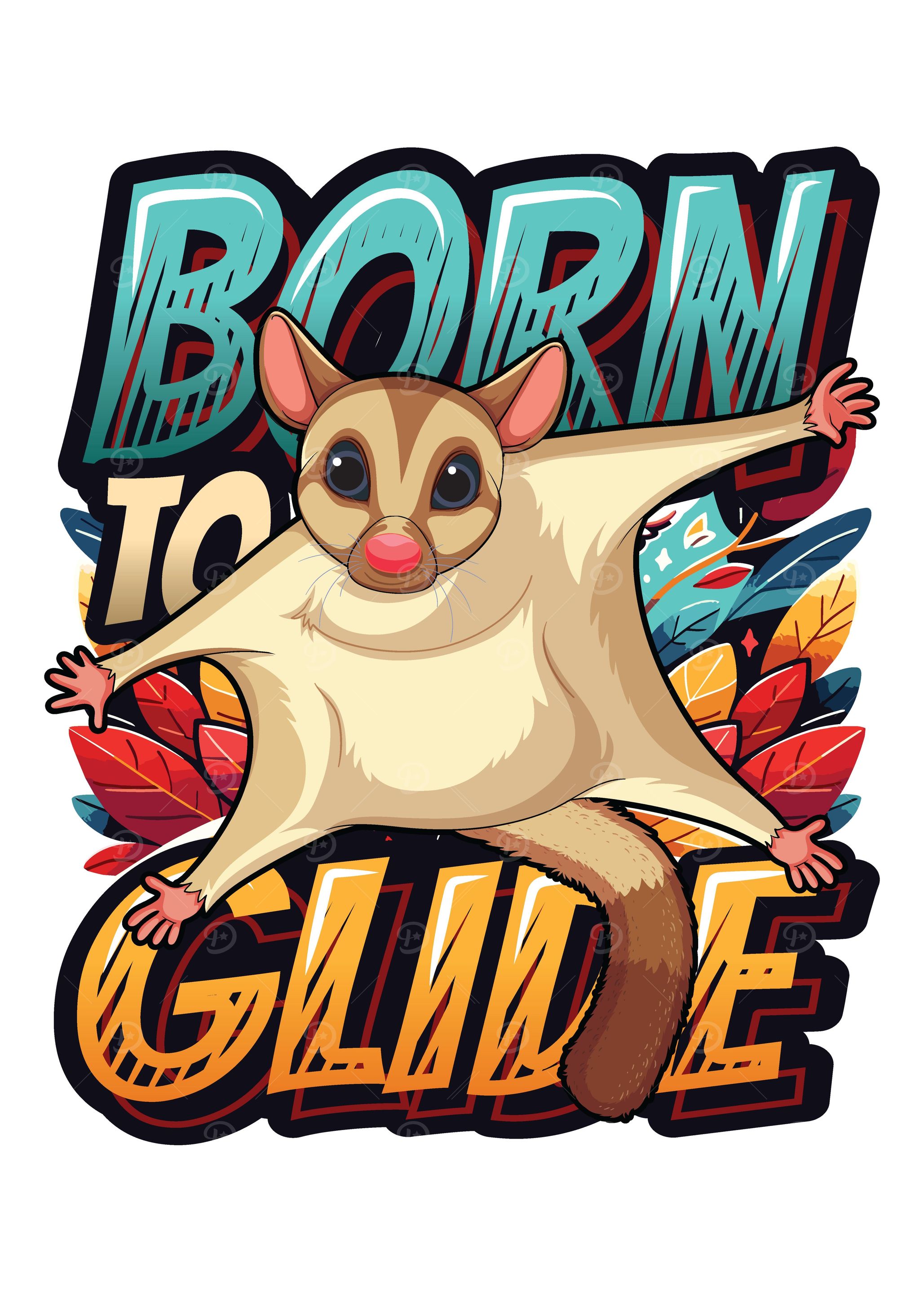 Australian Sugar Glider