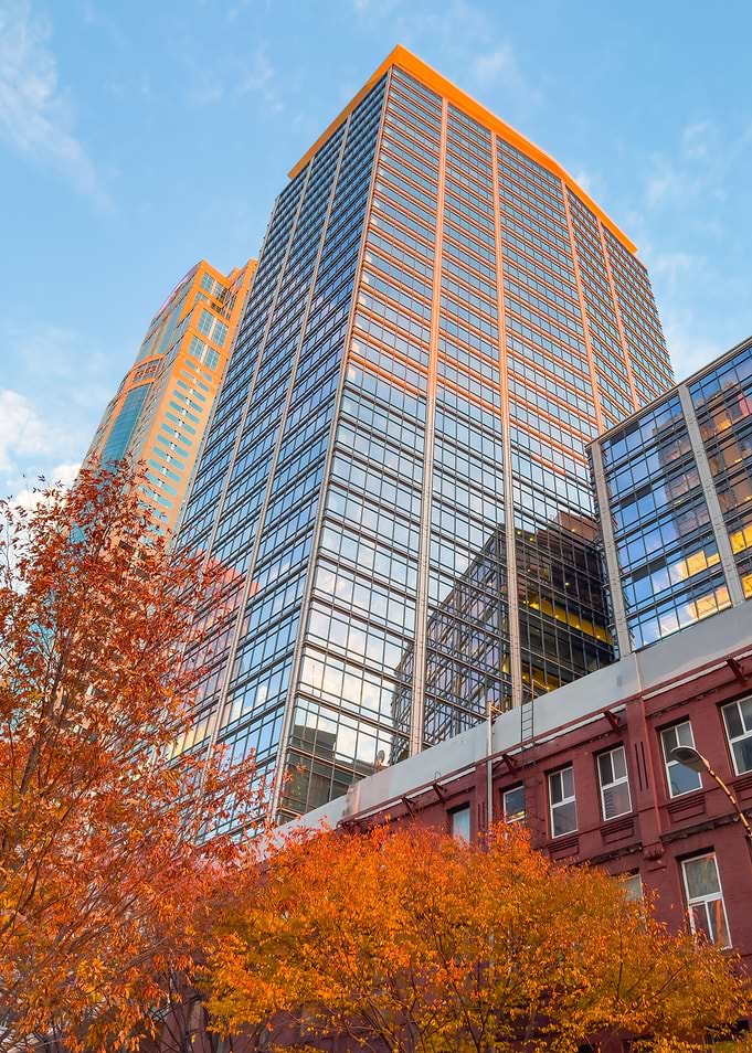 Fall in the City