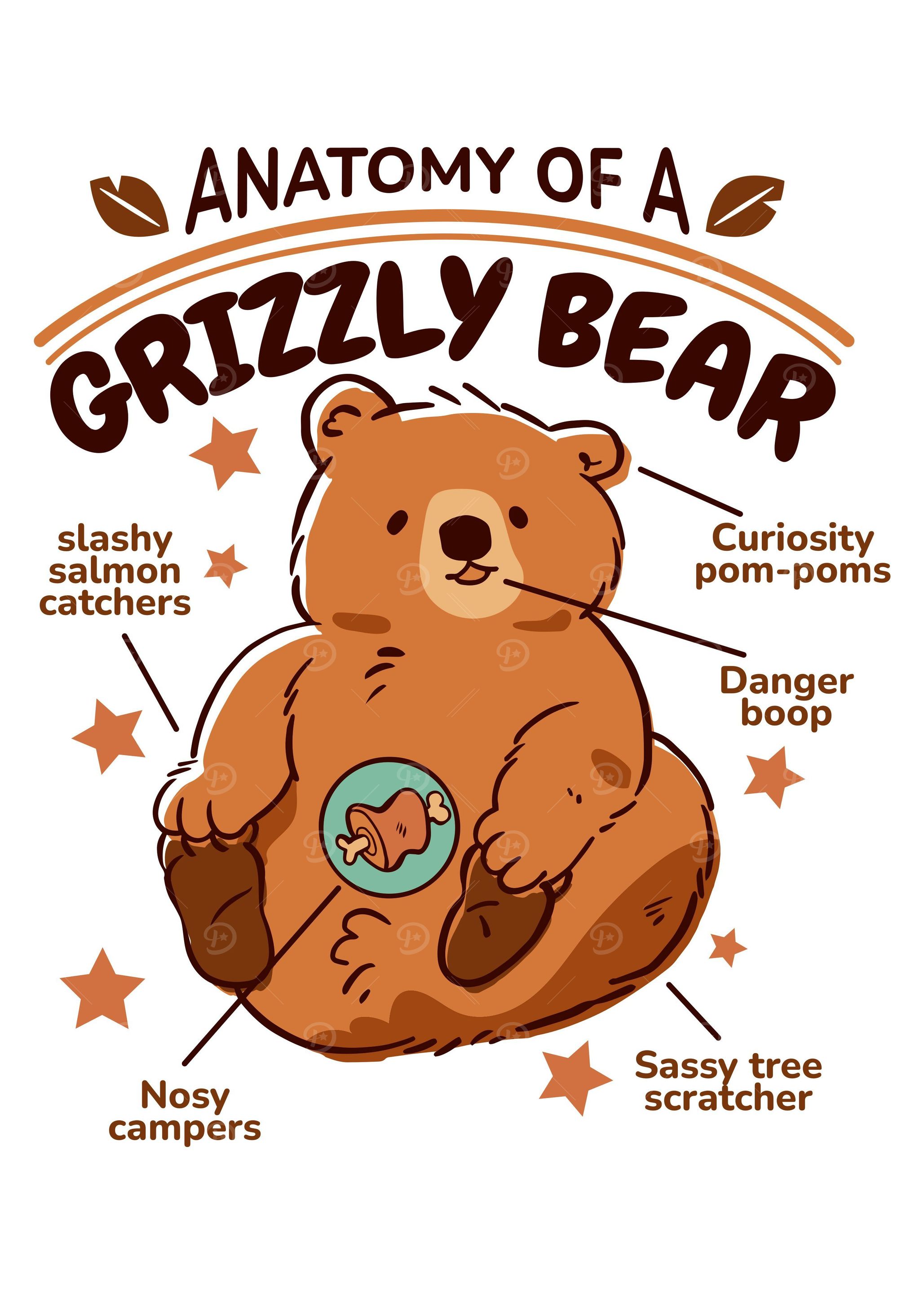 Grizzly Bear