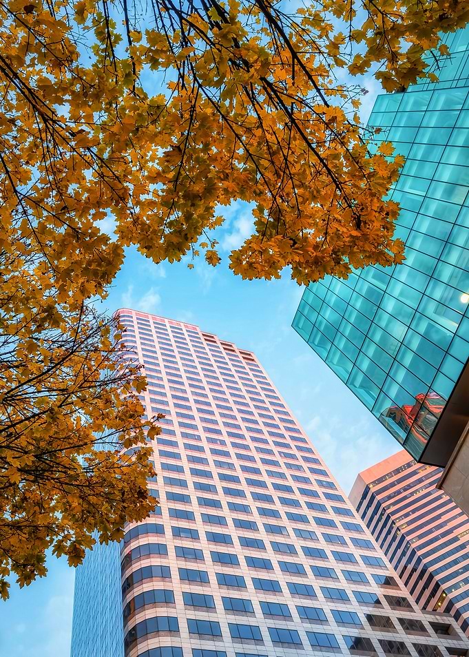 Autumn in the City