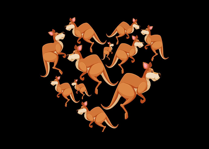 kangaroos