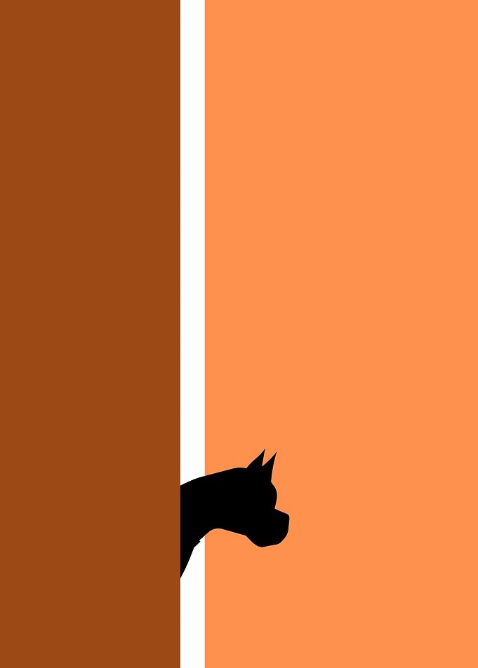 Dog Looking Arround