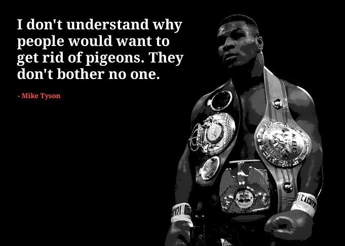 Mike Tyson quotes