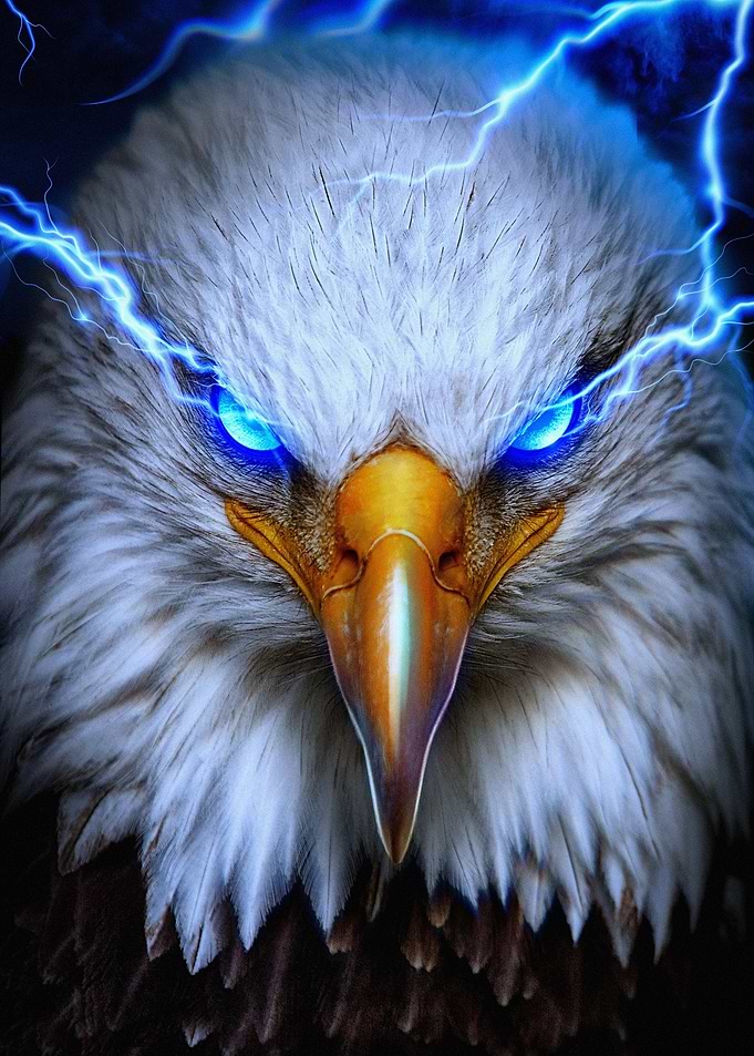 Eagle
