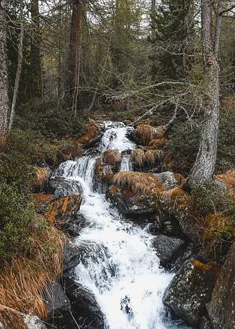 Woodland Waterfall Whisper