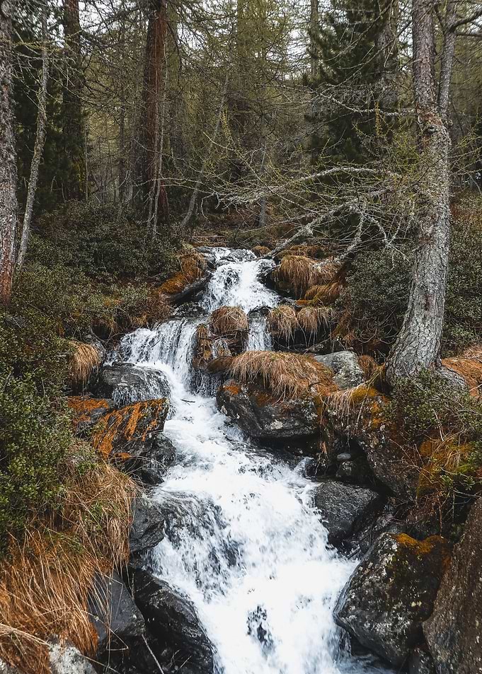Woodland Waterfall Whisper