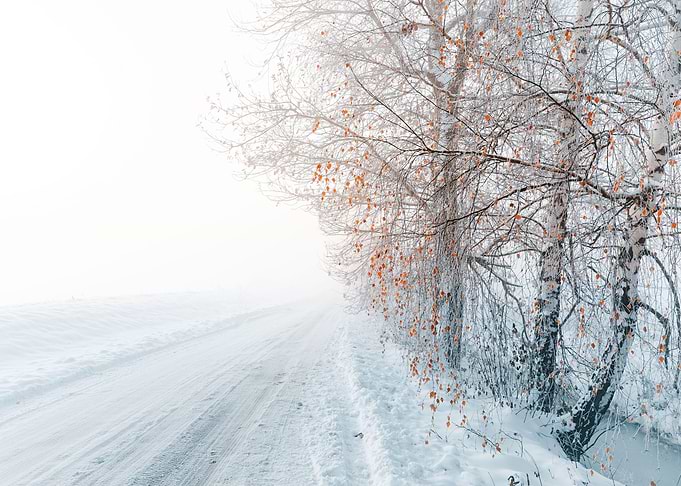 Snow covered winter road