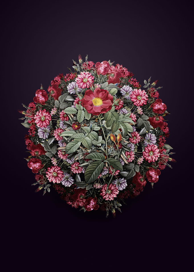 Red Portland Rose Wreath