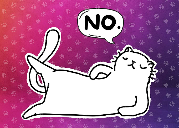 Sarcastic Cat No