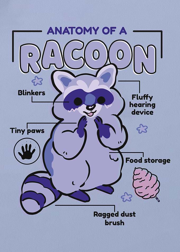 Racoon