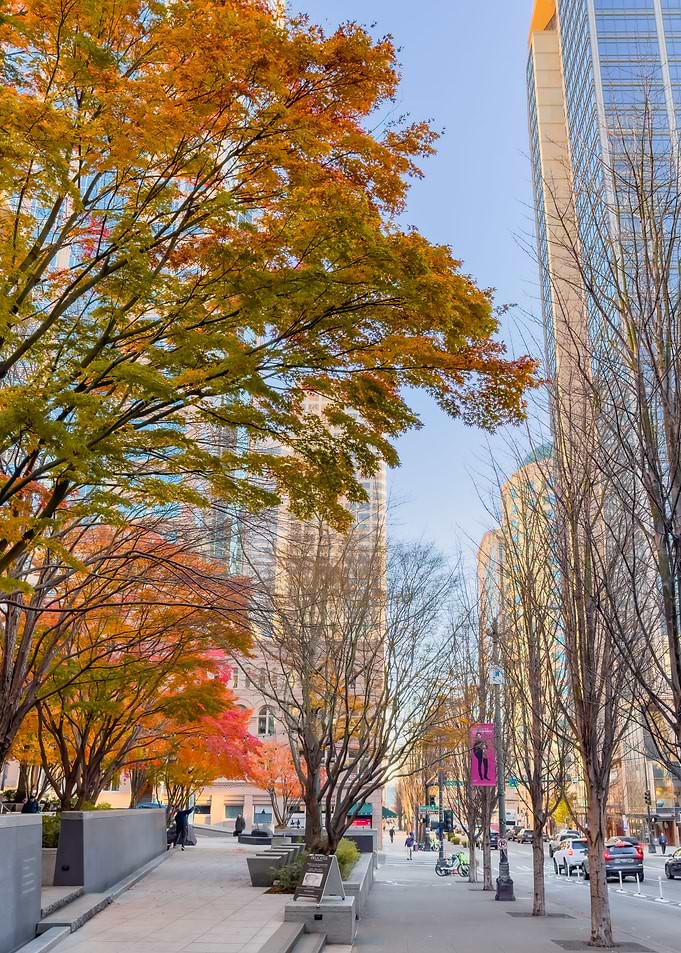 Seattle in Autumn