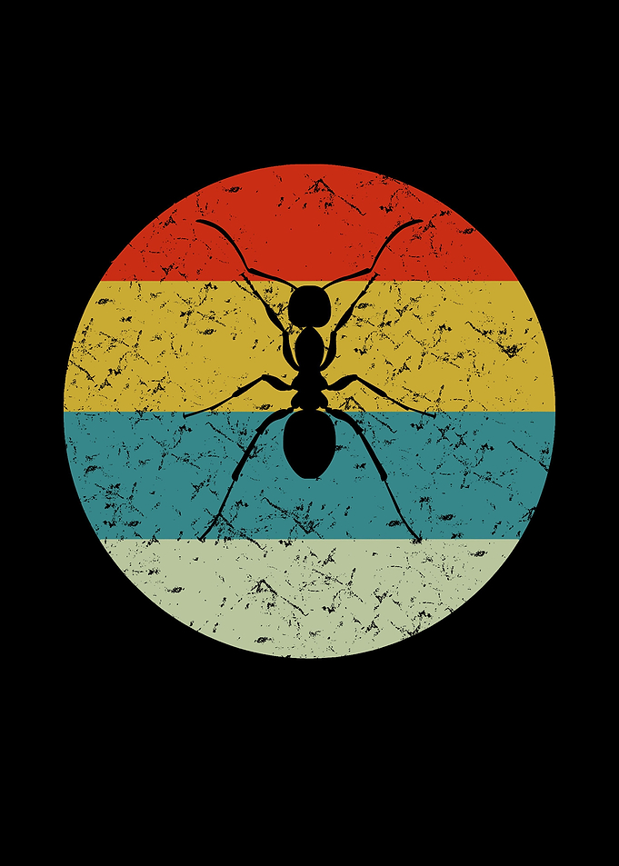 retro vintage ant