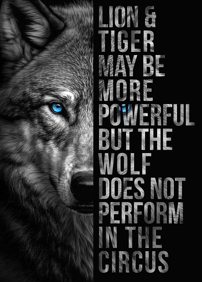 Wolf Animal Motivational