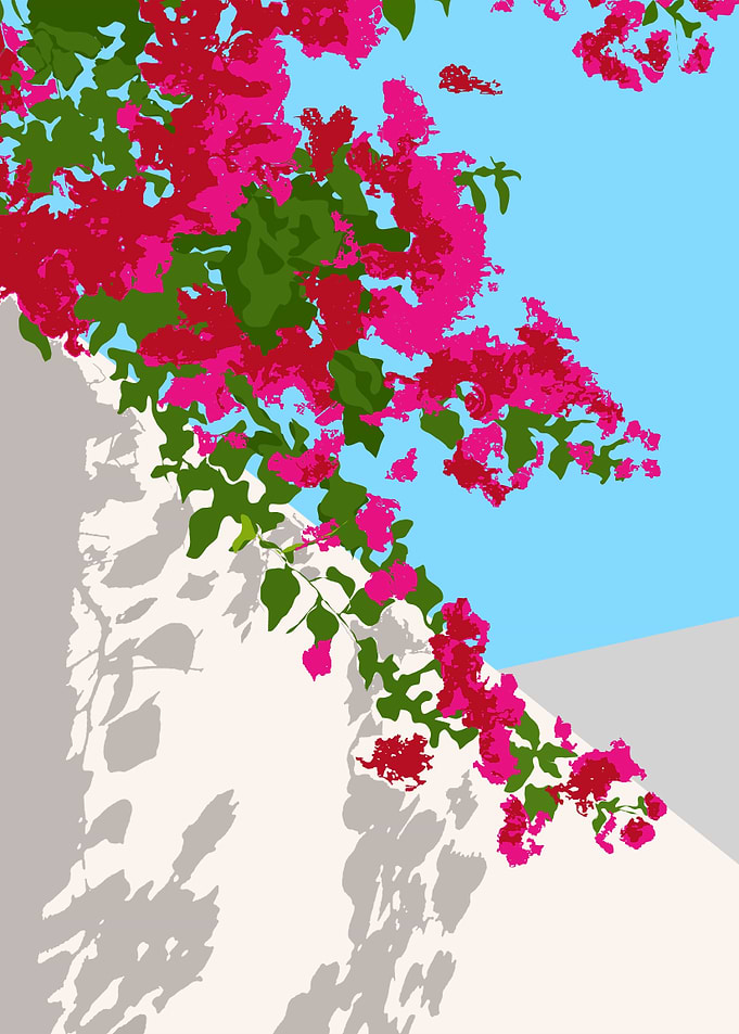 Bougainvillea Blossom