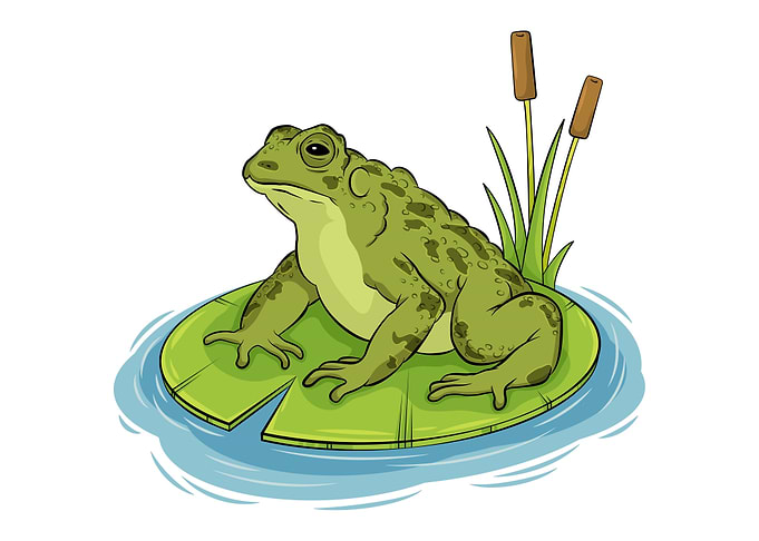 Toad chilling on a lilypad