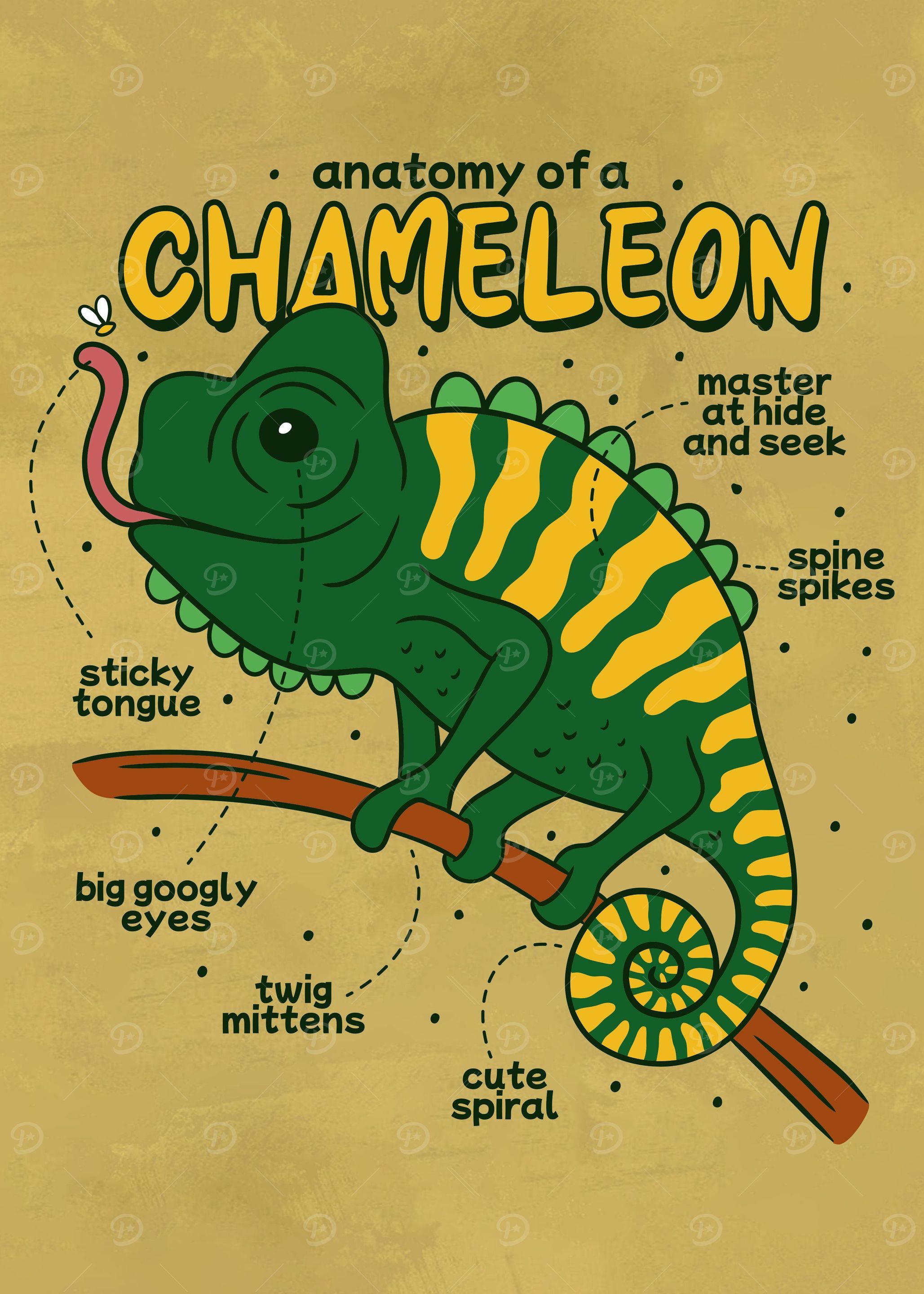 Chameleon