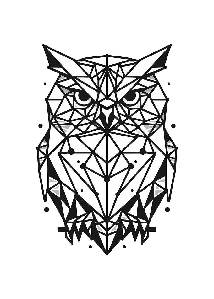 Owl Geometric Design