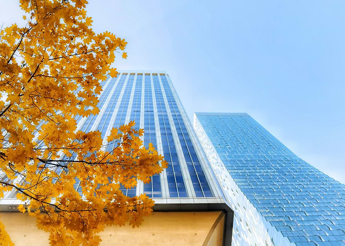 Seattle Autumn
