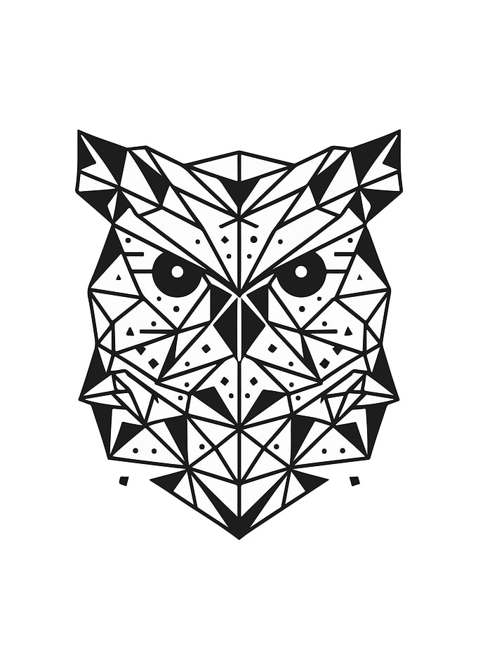 Owl Geometric Design