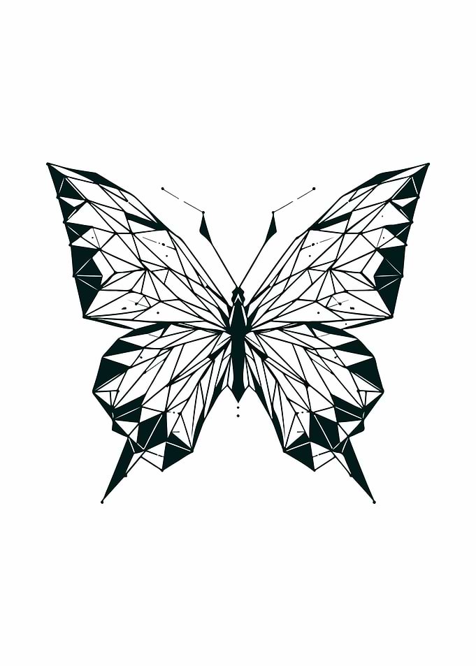 Butterfly Geometric Design
