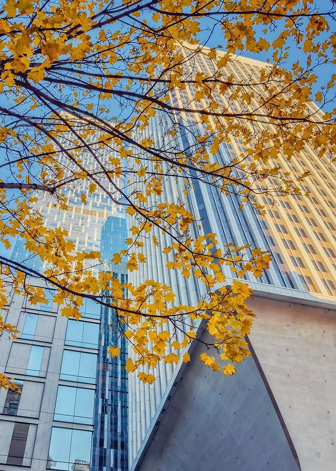 Seattle in Autumn
