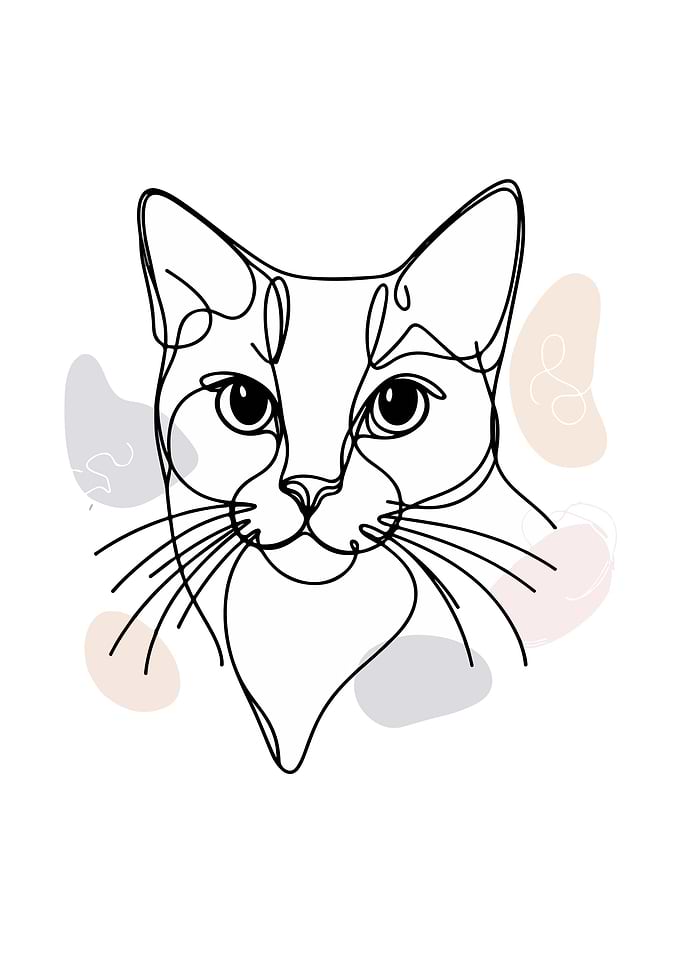 Whimsical Feline Grace