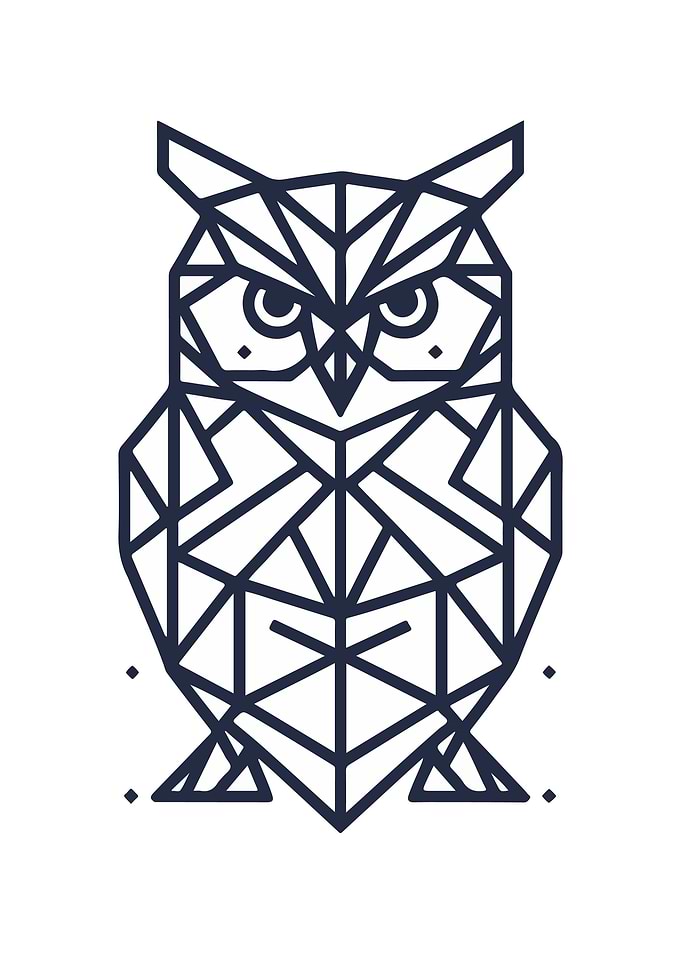 Owl Geometric Design
